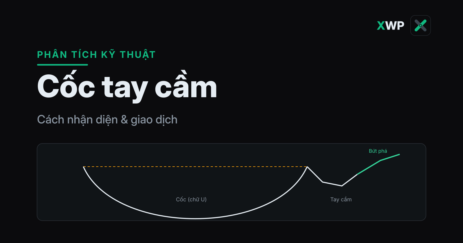 Bìa mô hình cốc tay cầm: đáy cốc hình chữ U và tay cầm nhỏ rồi bứt phá, thương hiệu XWP
